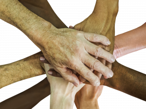 Build a successful team so everyone contributes