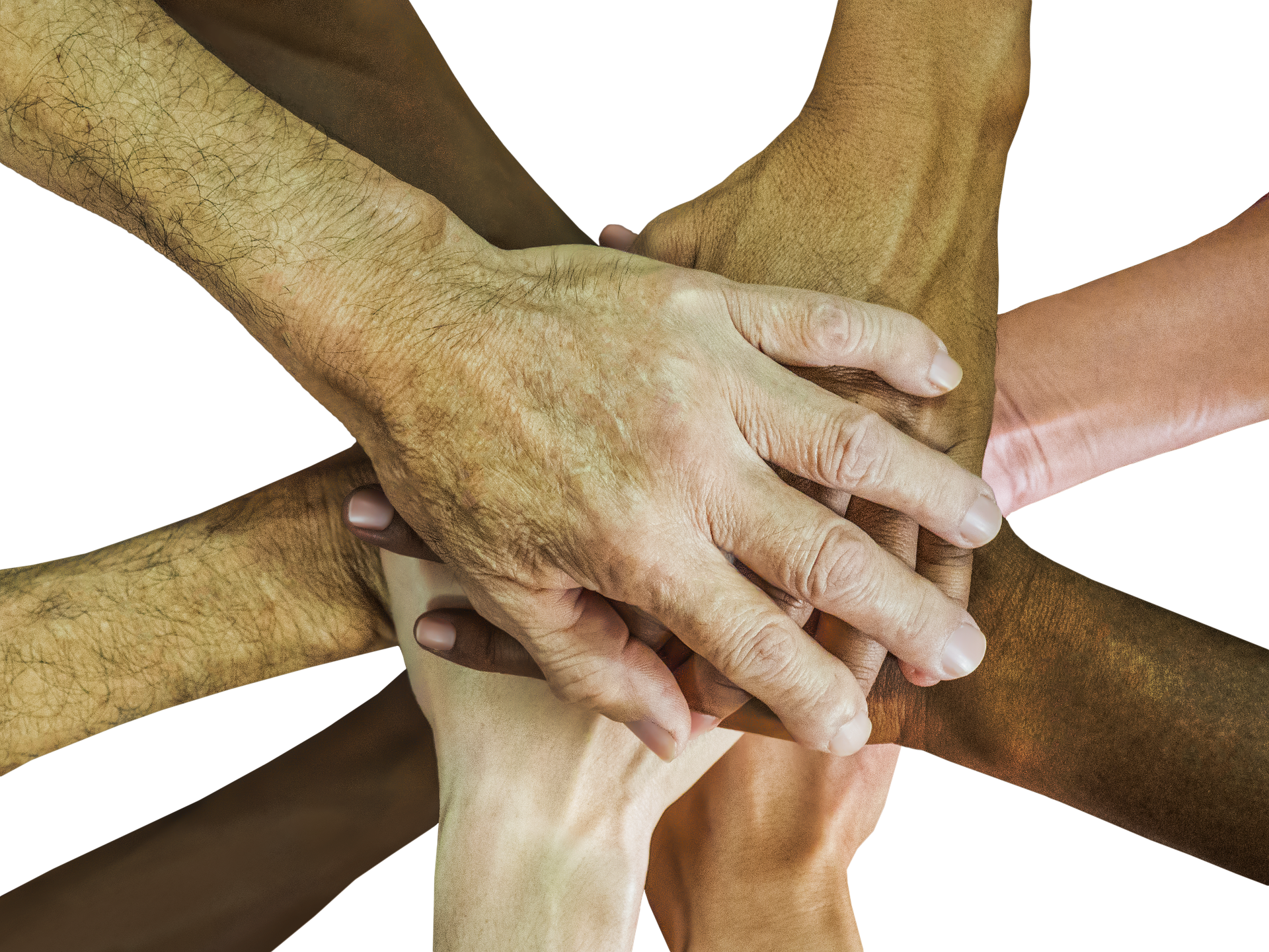 Build a successful team so everyone contributes